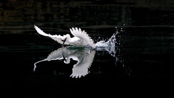 48840