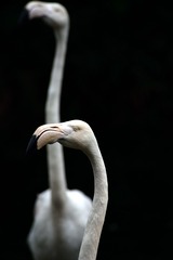 18049