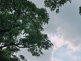 05307B26-7BFD-4760-9689-21DED829601B/L0/001