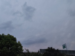 1000020951
