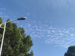 1000026785