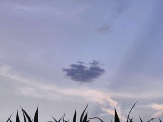 1000022482