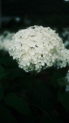 2F75252D-E6FD-4BBA-B6AF-1FA7FD46BAD3/L0/001