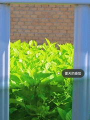 A2D92B46-D518-4B51-B62F-A619372D6246/L0/001