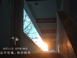523806