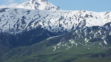 68831
