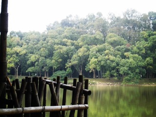 CIMG0087_副本.jpg