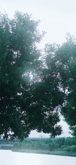 2B9A9371-E17E-46A4-98D8-5354DEB9EA44/L0/001
