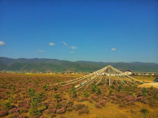 手机里的云南-藏区.jpg