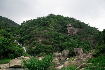 DSC00958