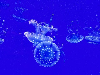 D0A29607-DB83-45E3-941A-4D1562759C6F/L0/001