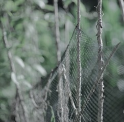 3C902BD7-45C7-48EF-8436-D58CF3BE9532/L0/001