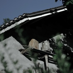 B59B0D3A-3E78-4E91-9610-E45CC1A419C4/L0/001