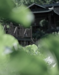 B3B143C8-F3AA-44DC-903D-268539831B00/L0/001