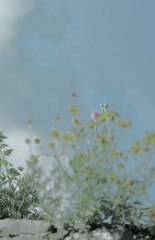 724FD4A1-5D3E-4181-8DDC-32E8A426AEE7/L0/001