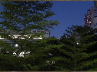 B3D16DC4-81DC-42F7-9E0B-B13B750FDFD6/L0/001