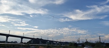 1000044598