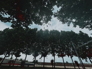 67A22C5B-366D-48D9-B289-F0C0897A7FF3/L0/001
