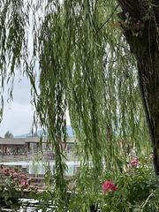 3CF711B0-256B-4AED-906F-19BDEC4297C2/L0/001