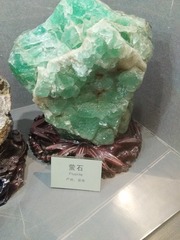 651