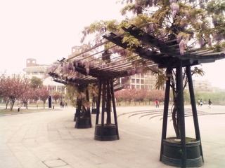 201104131006_副本.jpg