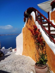 DSC09600.jpg