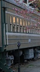532813