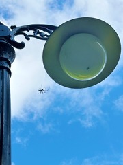 D2629D74-1F63-4CEB-B2EA-ABD2650B847B/L0/001