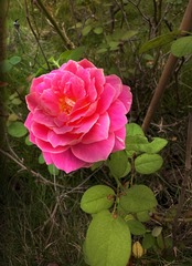 A06136F2-E7EE-44D4-8121-A61BD79B9FDF/L0/001