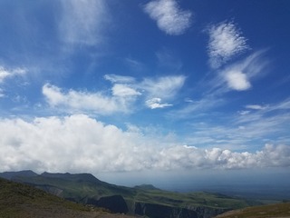 77033