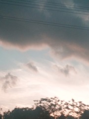 1354278