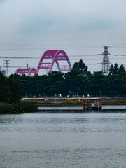 549904