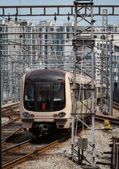 590428