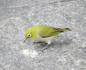 713267