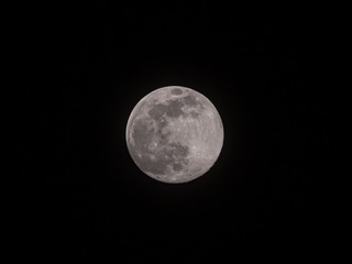 204662