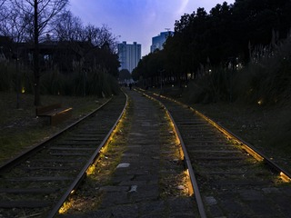 161624