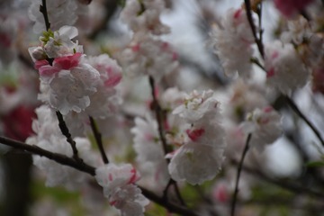 7D4F4EC3-E07A-47D0-B668-EB9162D5E656/L0/001