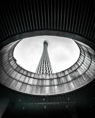 1000105329