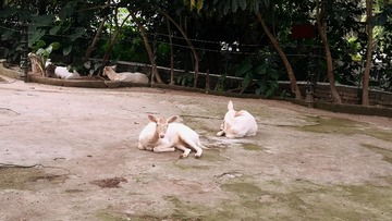 18038