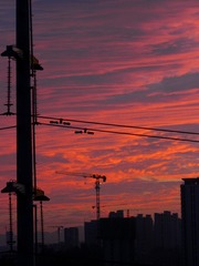 B8A465D8-57DE-4815-AE06-0B064215207B/L0/001