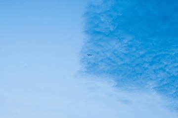 1000030386