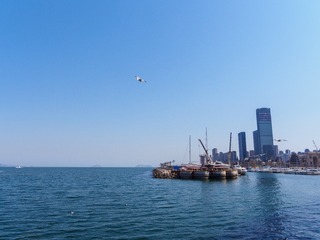 P3161241-1-2