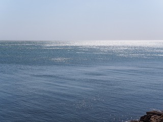 P3150998-1