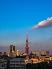P5243310