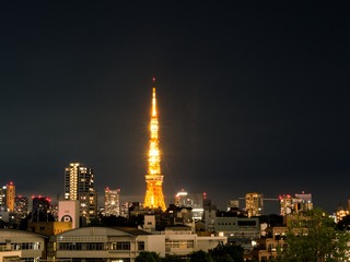 P5243353