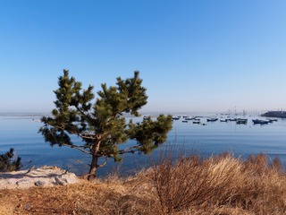 P3171637-1