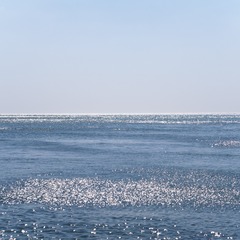 P3151036-1