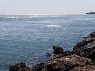 P3151004-1
