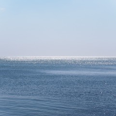 P3151014-1