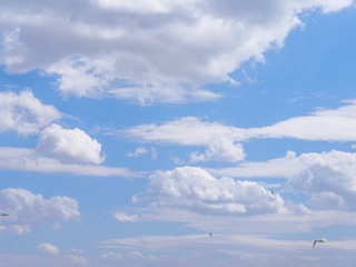 P1010499-1